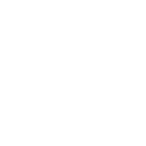 Project Management Institute